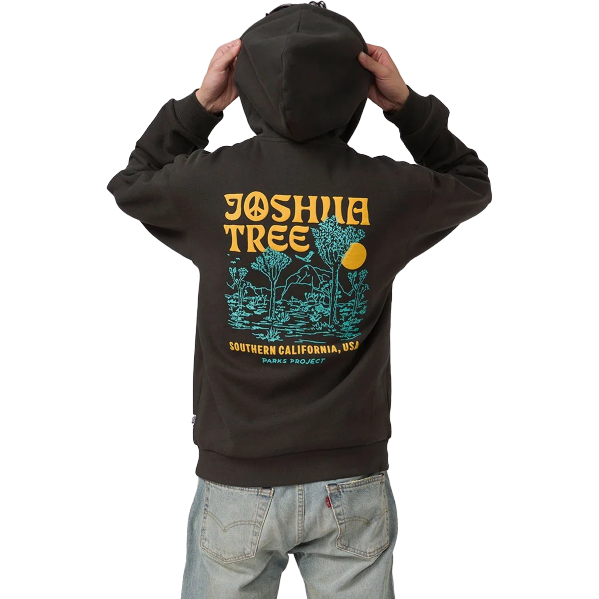 Joshua Tree DIY Hoodie