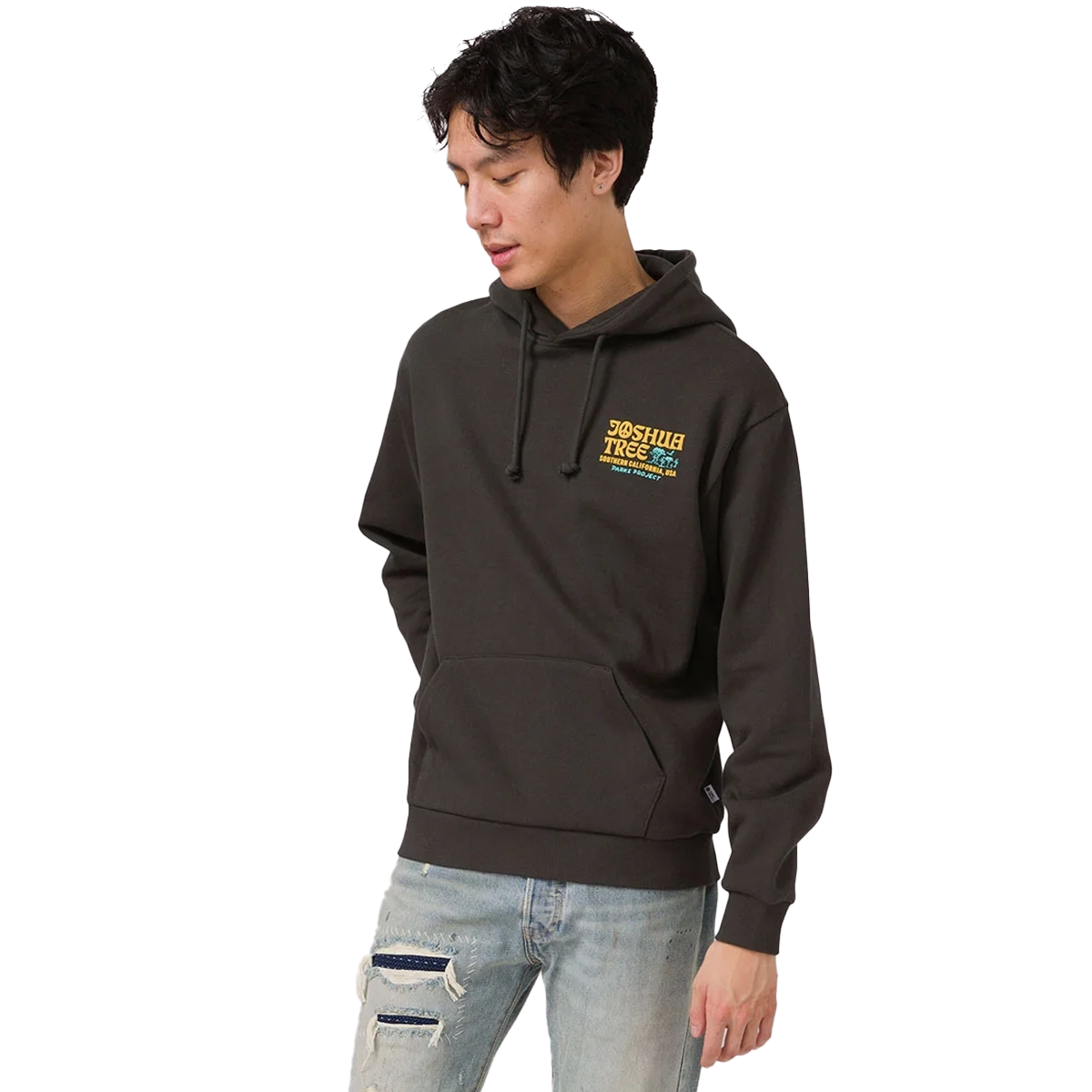 Joshua Tree DIY Hoodie