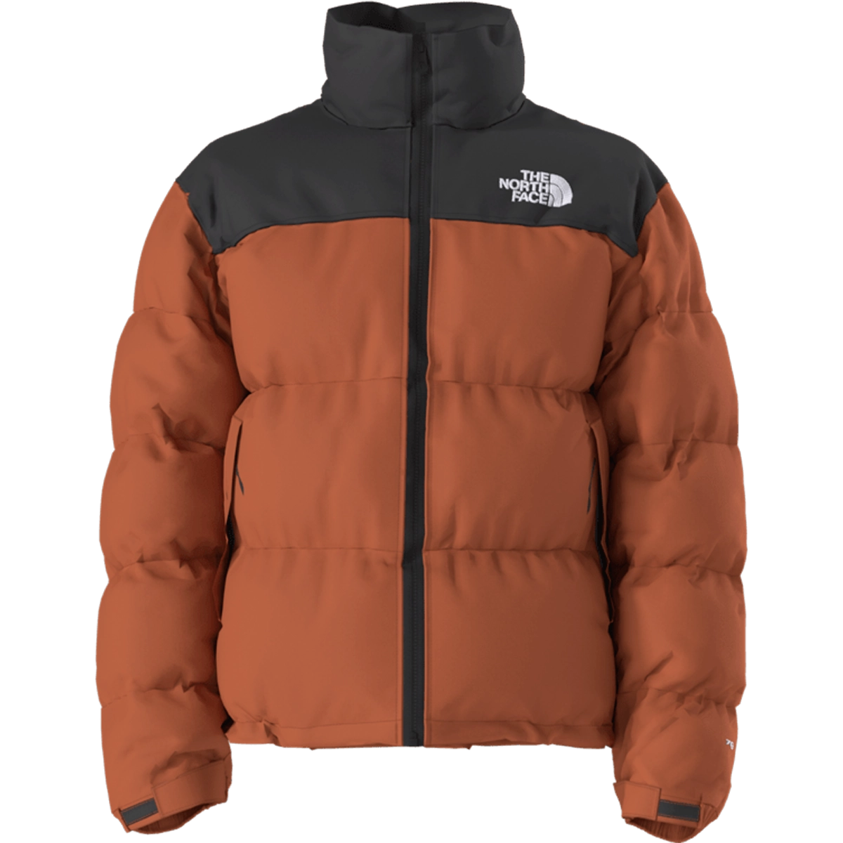 Men's 1996 Retro Nuptse Jacket