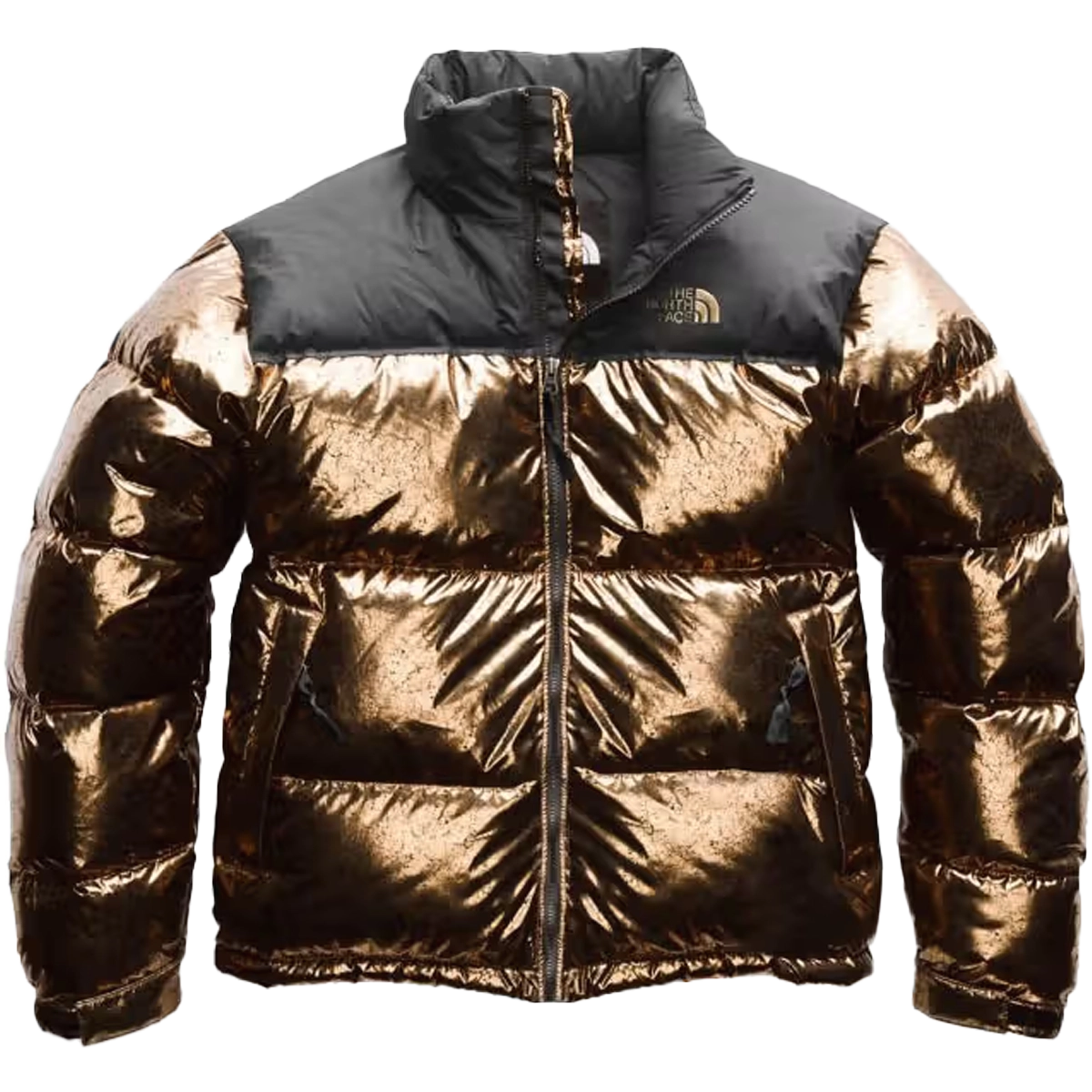 Men's 1996 Retro Nuptse Jacket