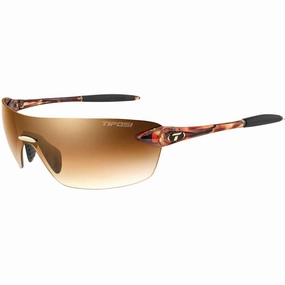 Vogel 2.0 - Tortoise/Brown Gradient